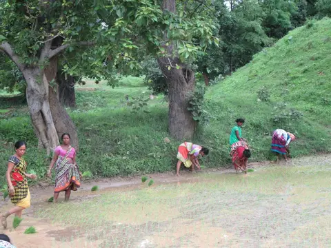 Kisan tribe ladies 