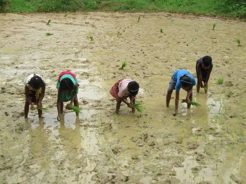 Kisan tribe children